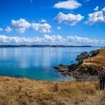 Tips To Snag Waiheke Island Deals